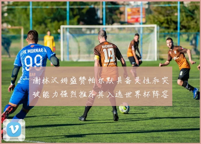 谢林汉姆盛赞帕尔默具备灵性和突破能力强烈推荐其入选世界杯阵容