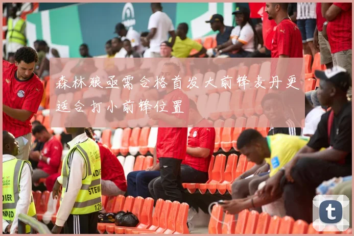 森林狼亟需合格首发大前锋麦丹更适合打小前锋位置