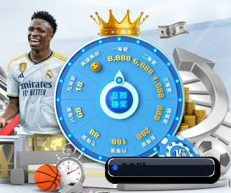 星空网站网址入口 APP 深度功能